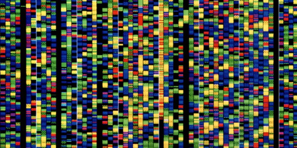 Google’s new AI will help researchers understand how our genes work
