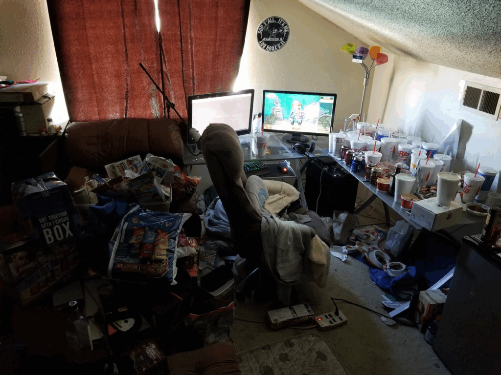 Asmongold Dirty House
