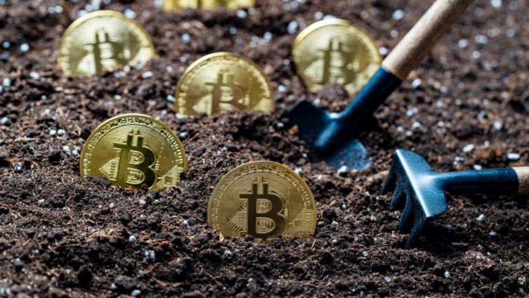 Adecoagro Partners With Tether to Pioneer Renewables Use for Bitcoin Mining in Brazil