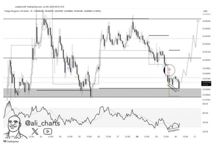 @ali_charts post on X of $PENGU analysis on TradingView, showing the support zone