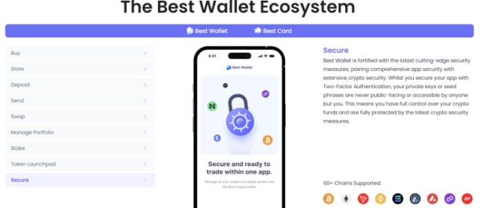 Best Wallet security
