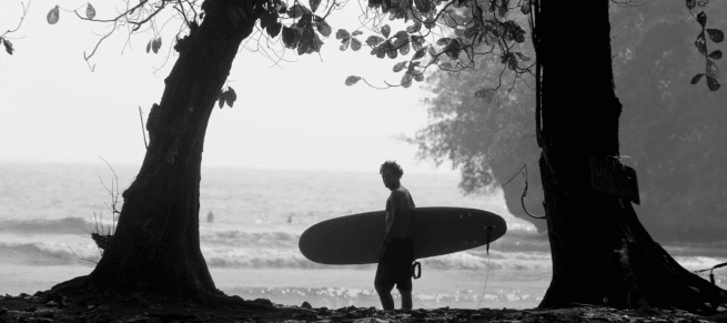 Freedom of Mind and Freedom of Money: Inside Costa Rica’s Growing Bitcoin Circular Economy 2 bitcoin circular economy, surfer standing between trees about to hit the waves