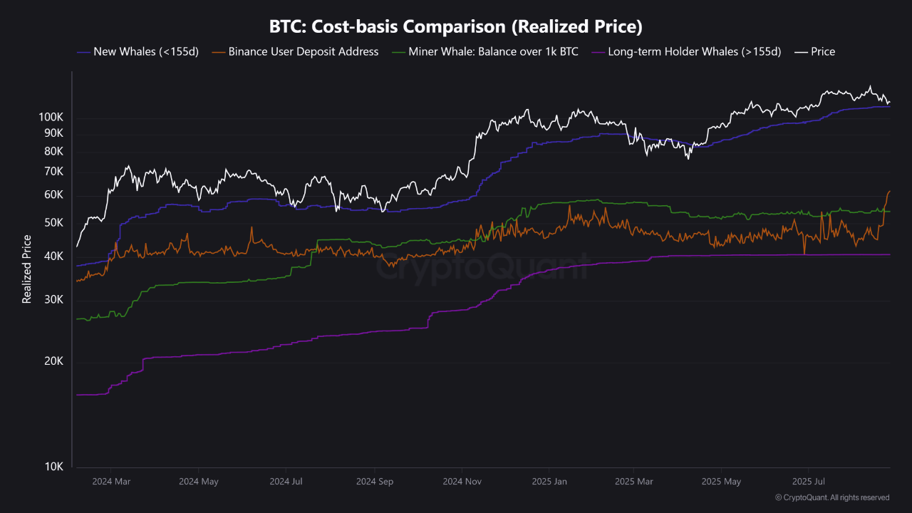 Bitcoin cost-basis comparison.