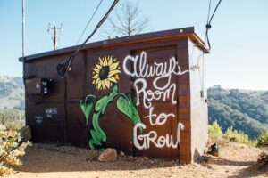 Flower mural on a shed saying Change Room to Grow