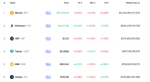 Largest cryptos by market cap