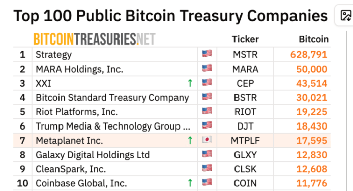 top 10 corporate bitcoin holders.