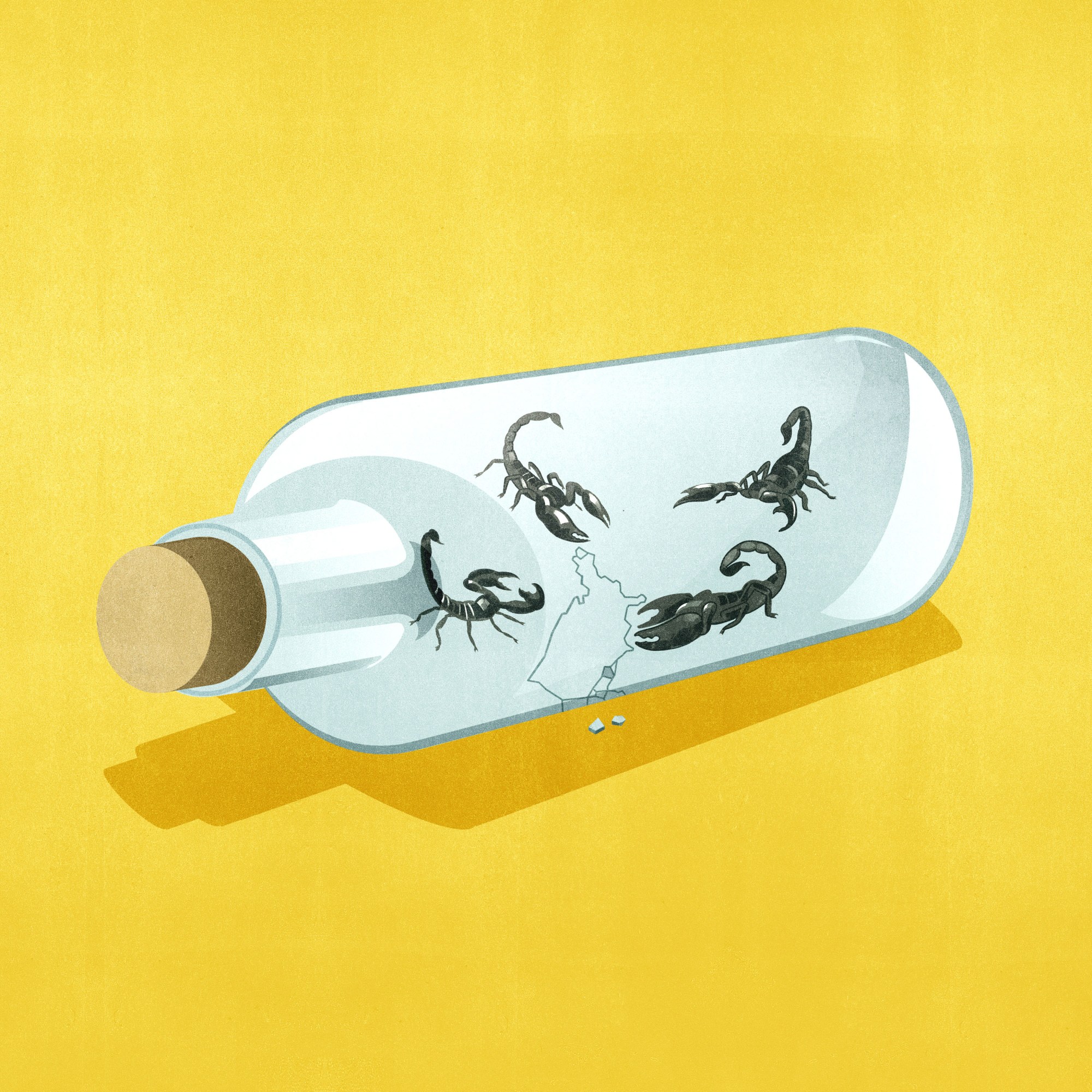 outline of the United States inside a corked glass bottle with scorpions