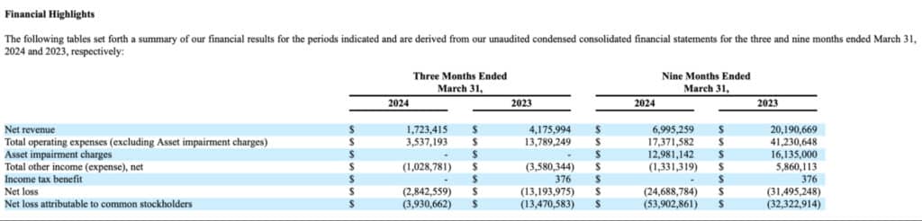 Esports Entertainment Group financial highlights table for 2023 and 2024