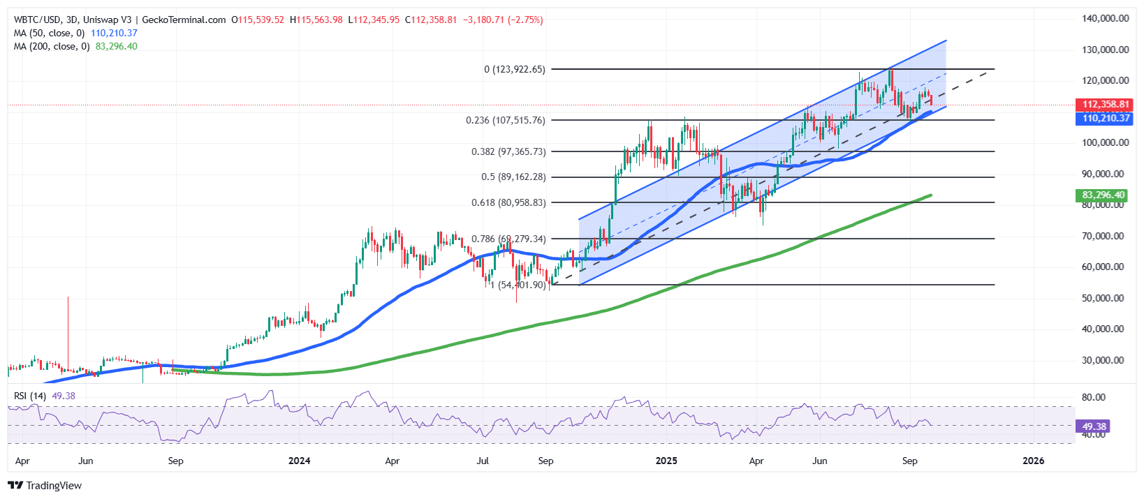 Bitcoin Price Chart Analysis Source: GeckoTerminal