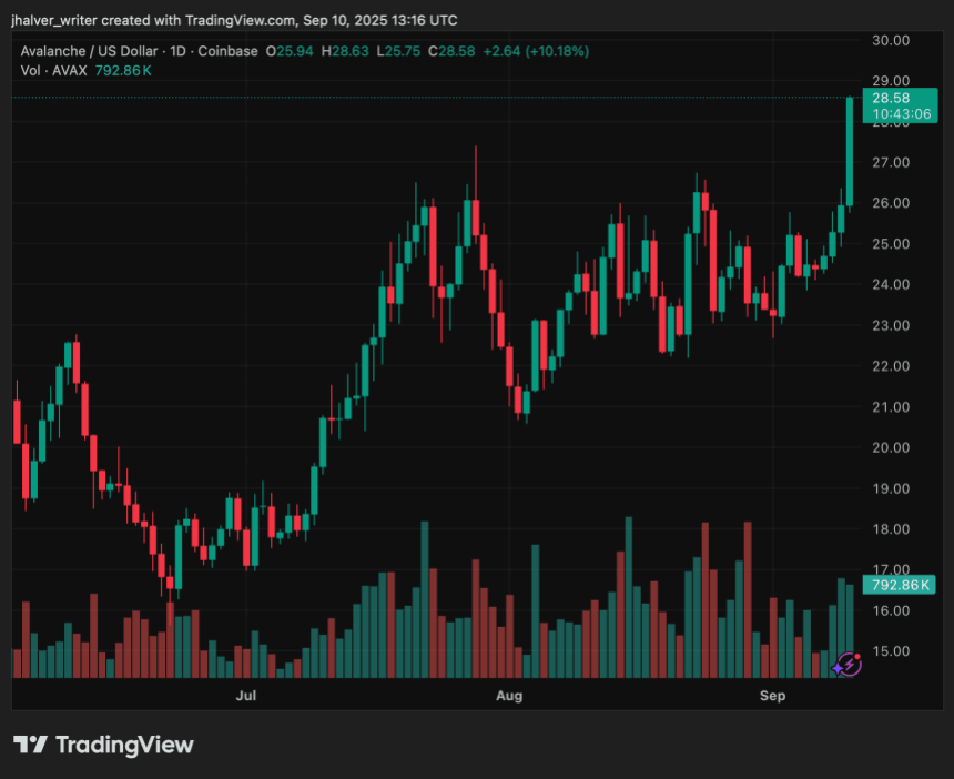 Avalanche AVAX AVAXUSD