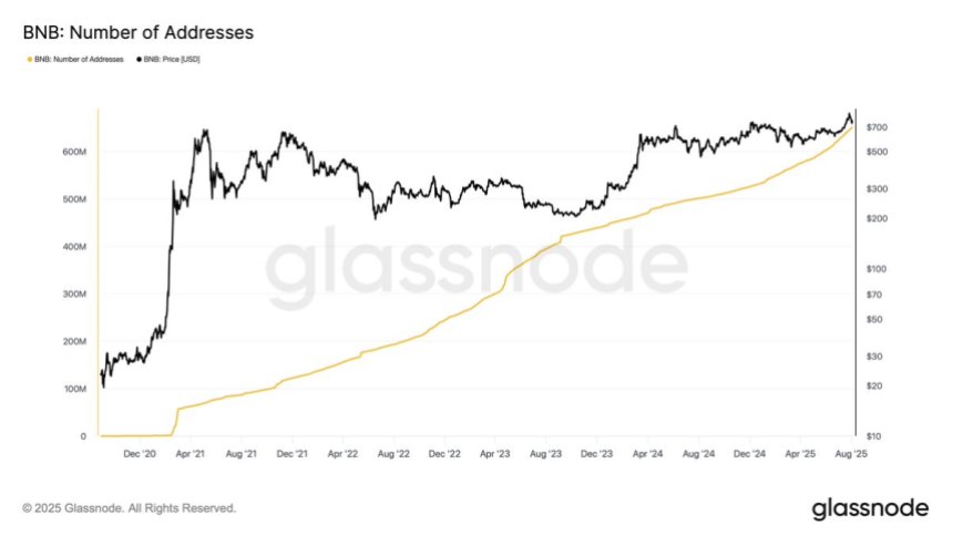 Binance Coin (BNB) Number of Addresses | Source: Darkfost