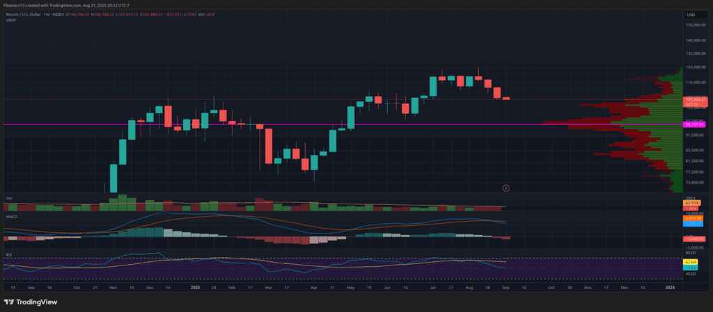 Bitcoin’s Big Drop: Can Bulls Save the $100K Level?