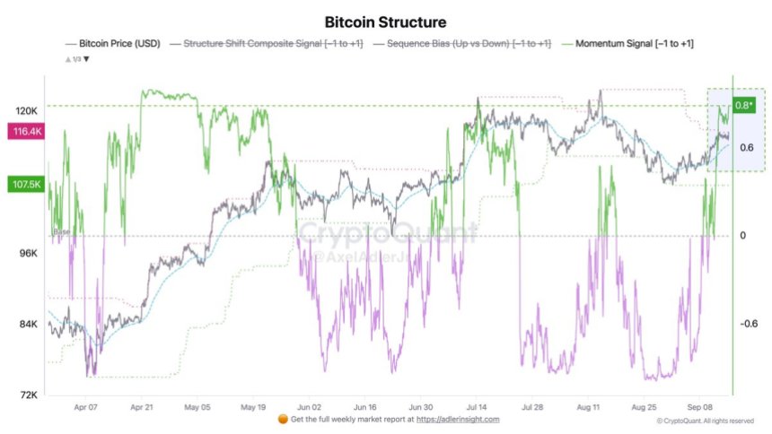 Bitcoin Structure Indicator | Source: Axel Adler
