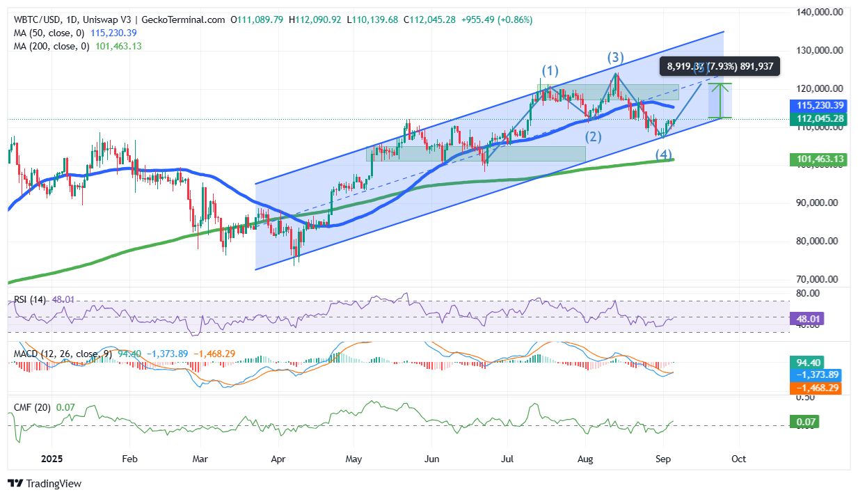 Bitcoin Price Chart Analysis Source: GeckoTerminal