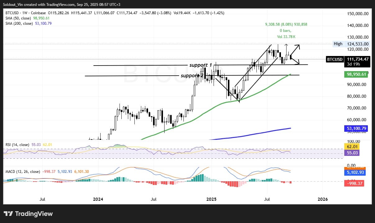Bitcoin Price Tumbles After Hitting $114K As Vision CEO Raoul Pal Sees Peak In 2026