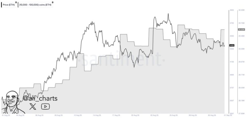 Whales add 260,000 Ethereum in 24h | Source: Ali Martinez