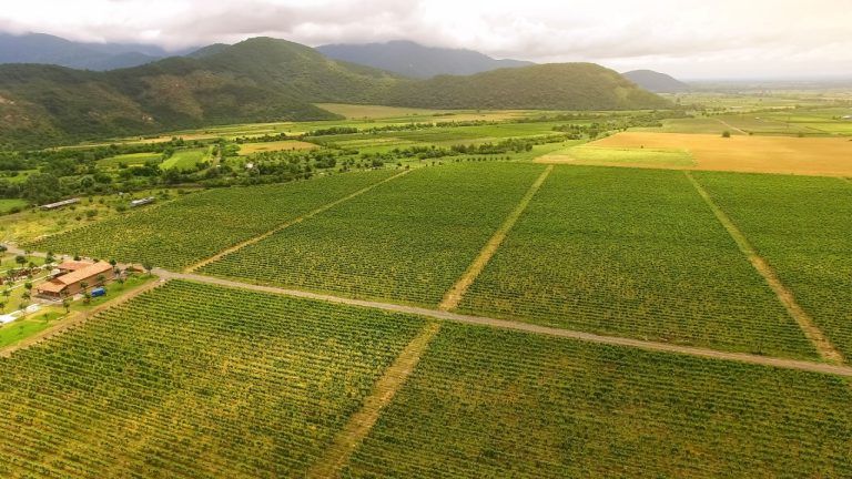 Georgia Secures $100M Partnership to Advance Tokenized Real‑World Asset (RWA) Agriculture, Transforming Farmland into a Sovereign‑Endorsed, Blockchain‑Verified Climate Asset