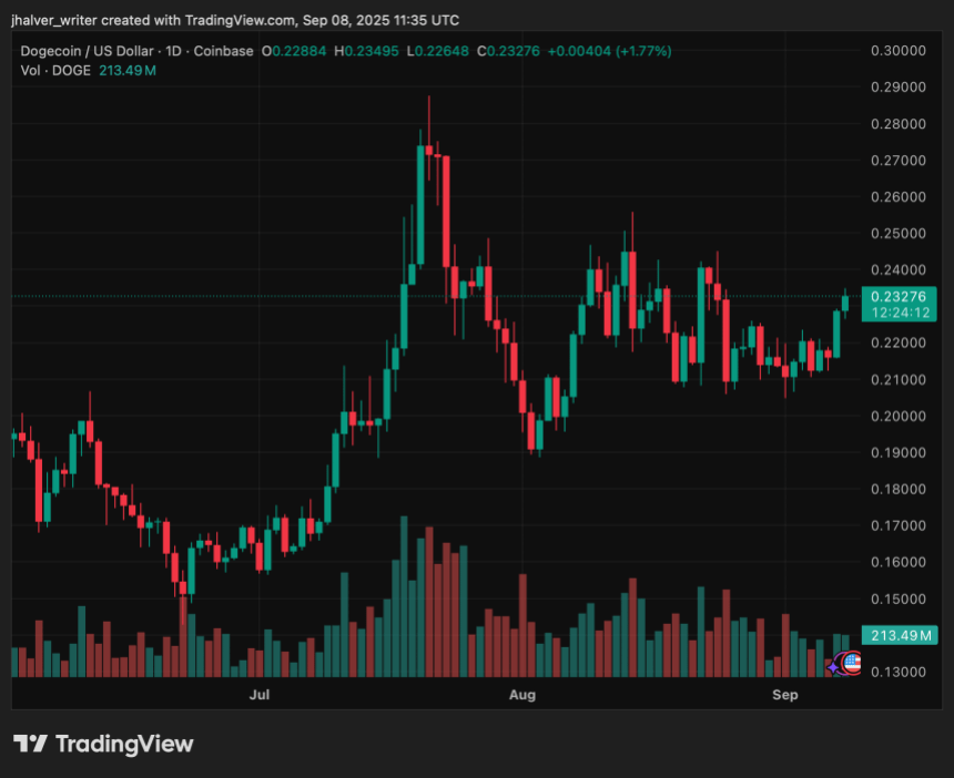 Dogecoin DOGE DOGEUSDT