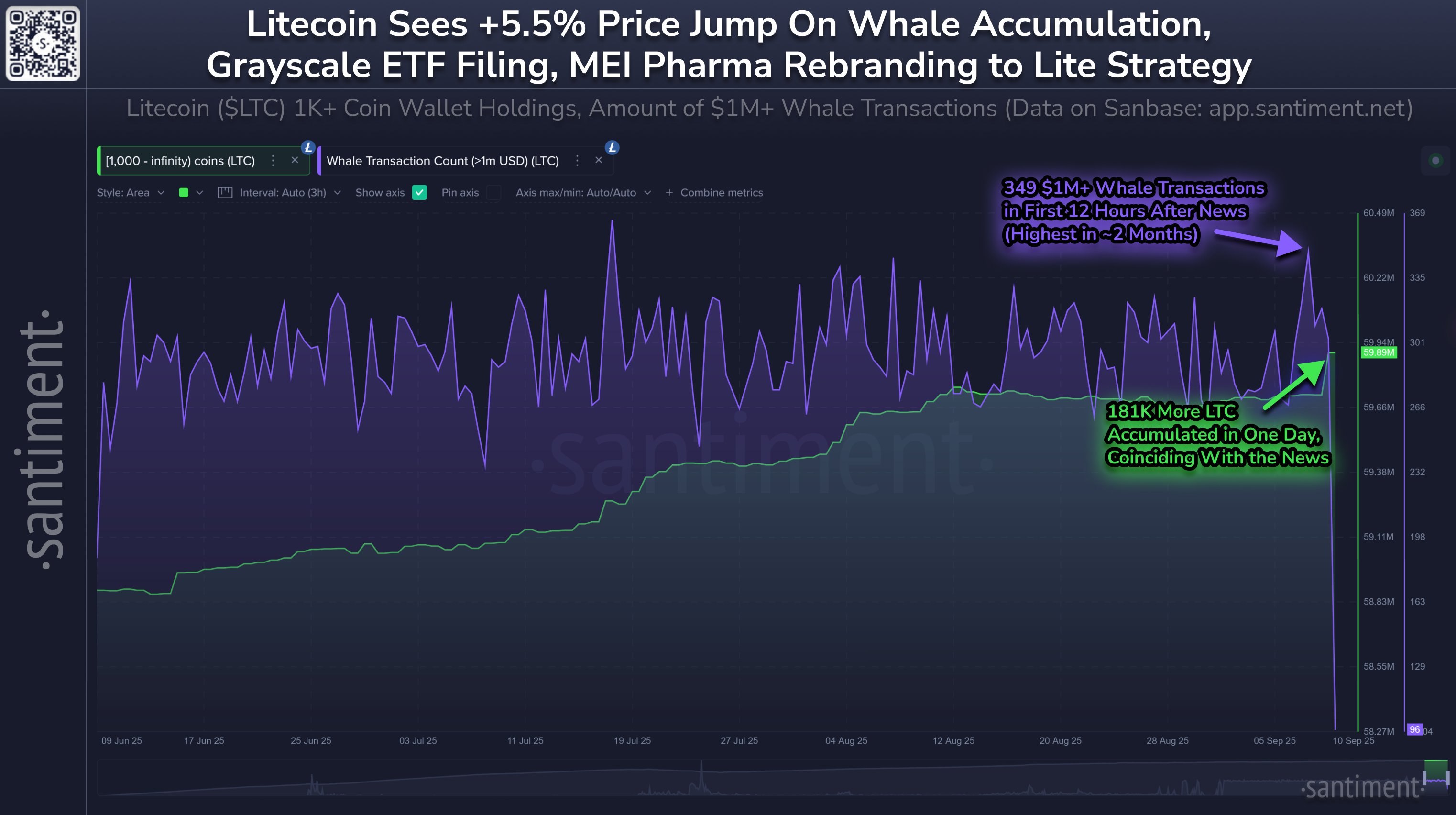 Litecoin Whale Supply