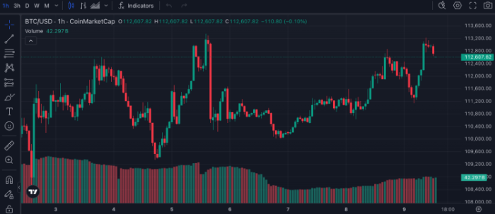 BTC/USD on Trading View.