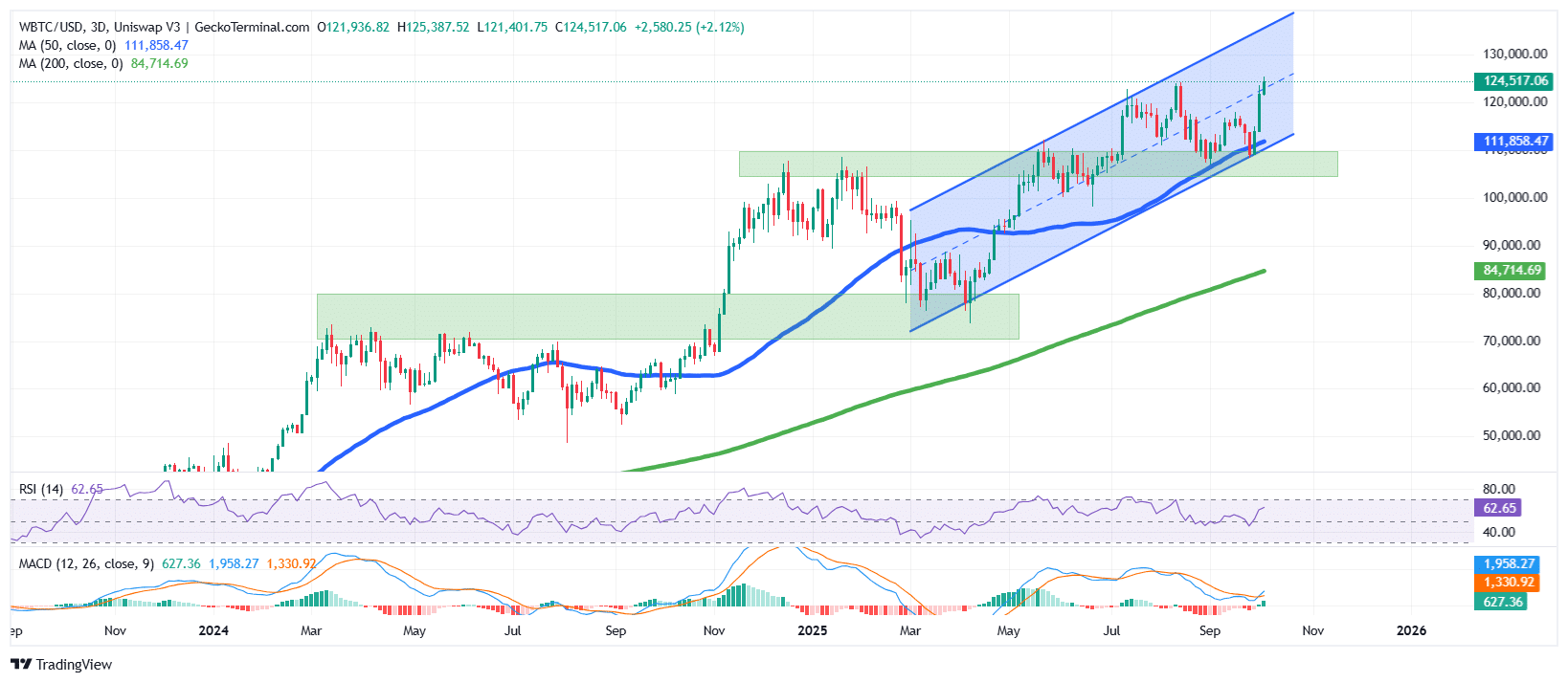 Bitcoin Price Chart Analysis Source: GeckoTerminal