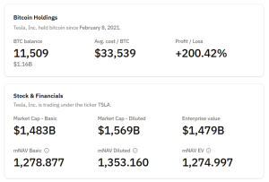 Tesla BTC holdings